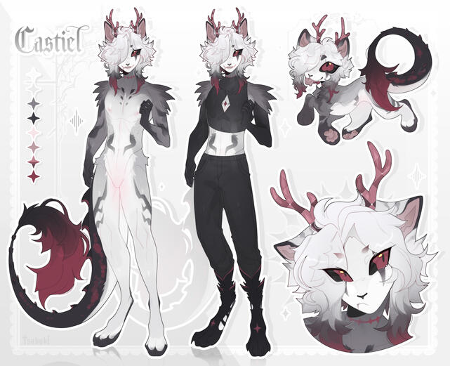 ANTHRO ANTHRO